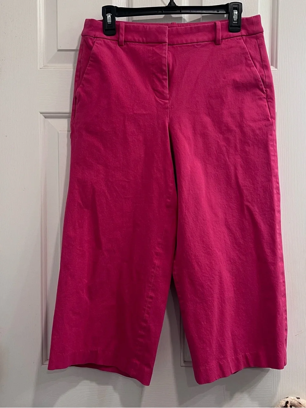 J. Crew Bright Pink Stretch Woven Cropped Pants Petite 10P Tailored Fit Nautical